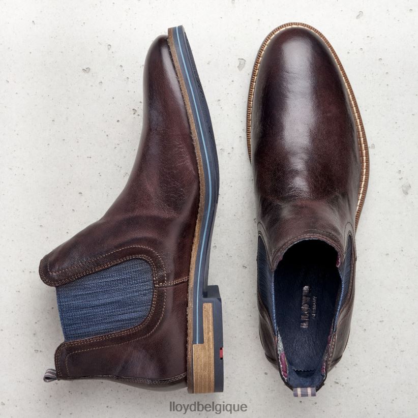 LLOYD dario Hommes brun 4Z6Z661342 chaussures