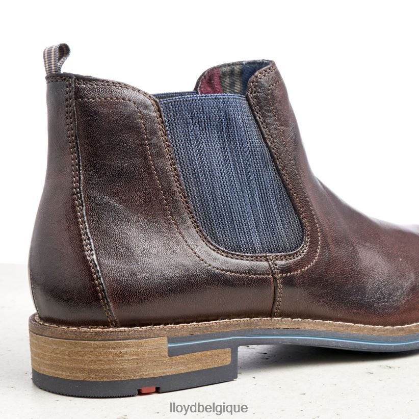 LLOYD dario Hommes brun 4Z6Z661342 chaussures