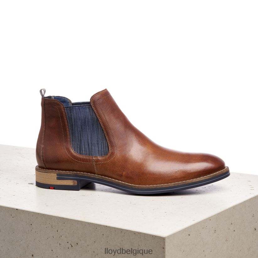 LLOYD dario Hommes brun 4Z6Z661343 chaussures