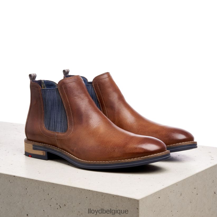 LLOYD dario Hommes brun 4Z6Z661343 chaussures