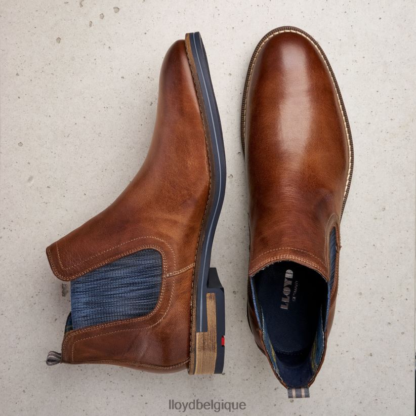 LLOYD dario Hommes brun 4Z6Z661343 chaussures