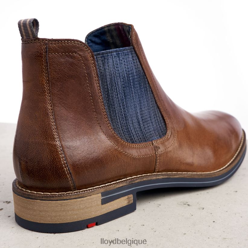 LLOYD dario Hommes brun 4Z6Z661343 chaussures