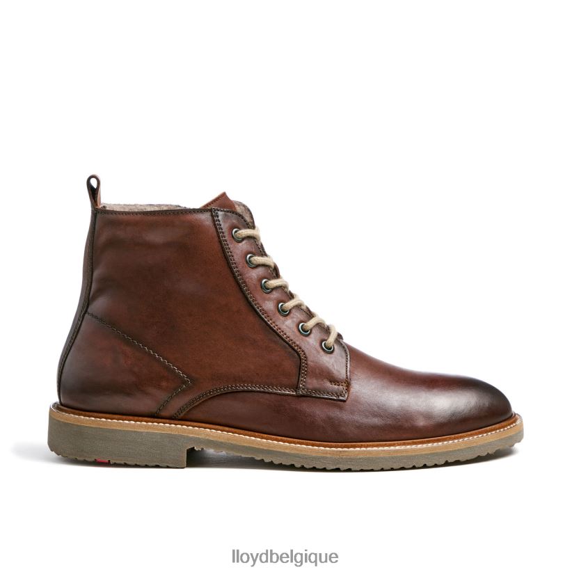 LLOYD darwin Hommes brun 4Z6Z66475 chaussures