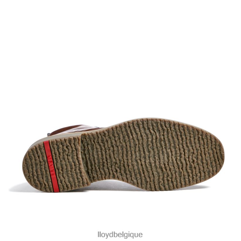 LLOYD darwin Hommes brun 4Z6Z66475 chaussures