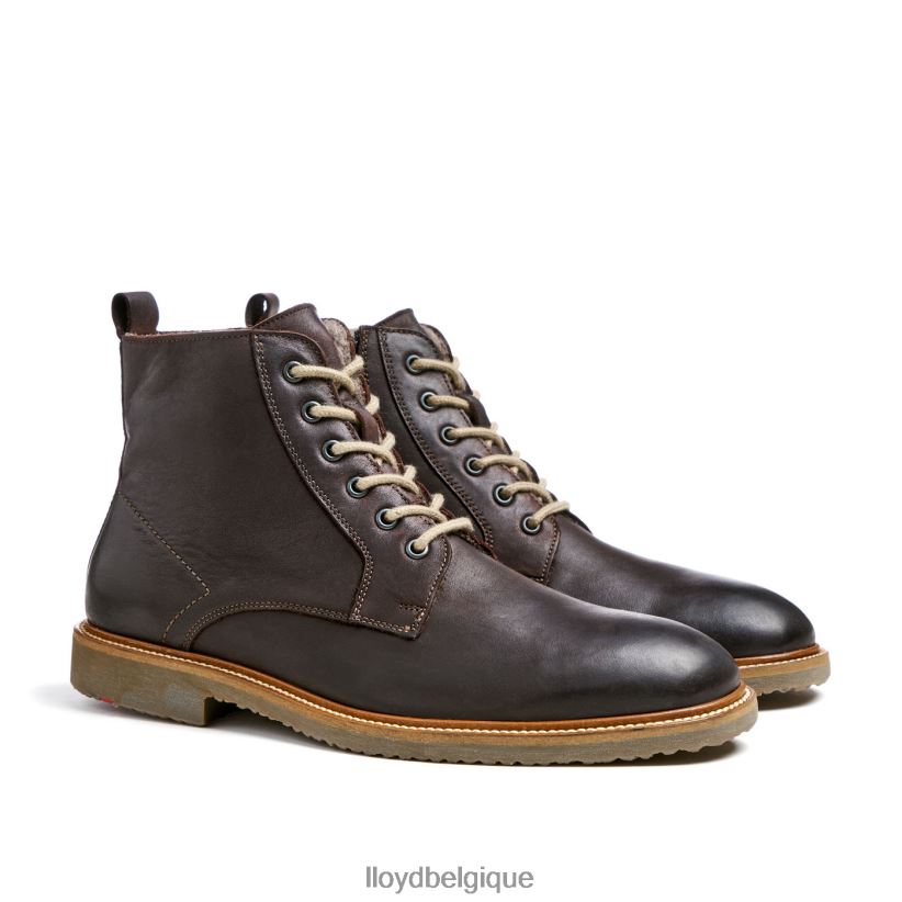 LLOYD darwin Hommes brun 4Z6Z66476 chaussures