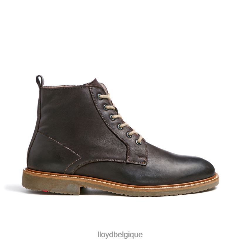 LLOYD darwin Hommes brun 4Z6Z66476 chaussures