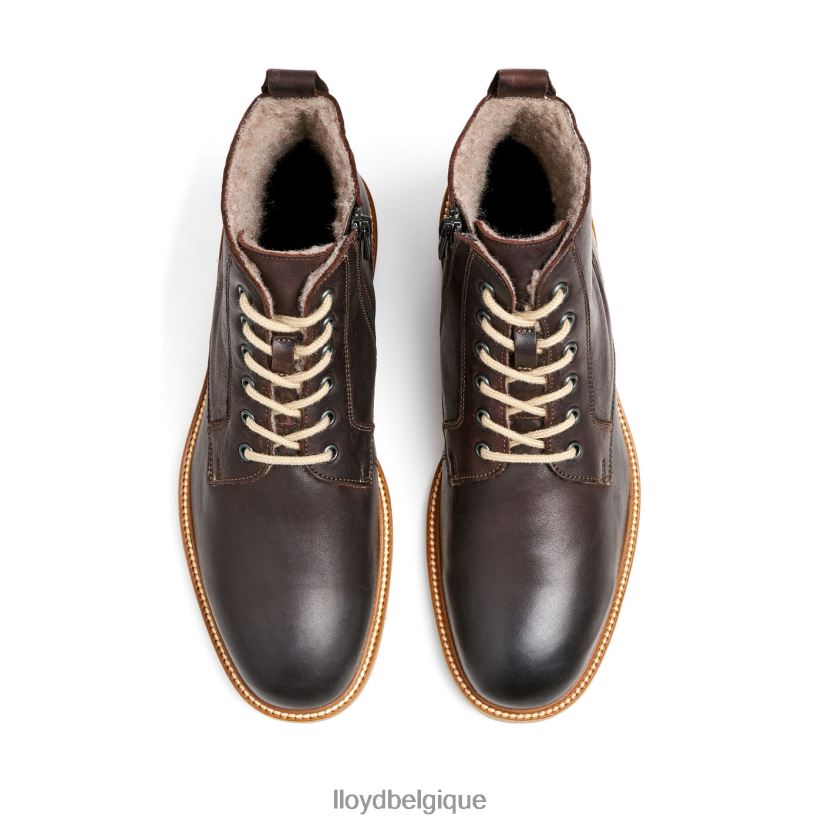 LLOYD darwin Hommes brun 4Z6Z66476 chaussures