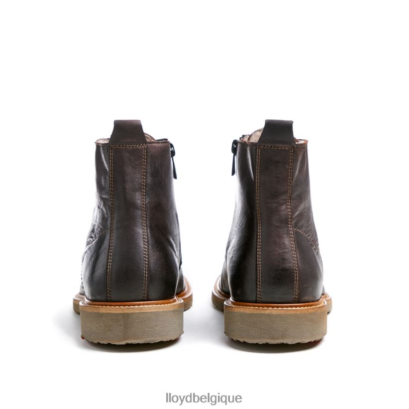 LLOYD darwin Hommes brun 4Z6Z66476 chaussures