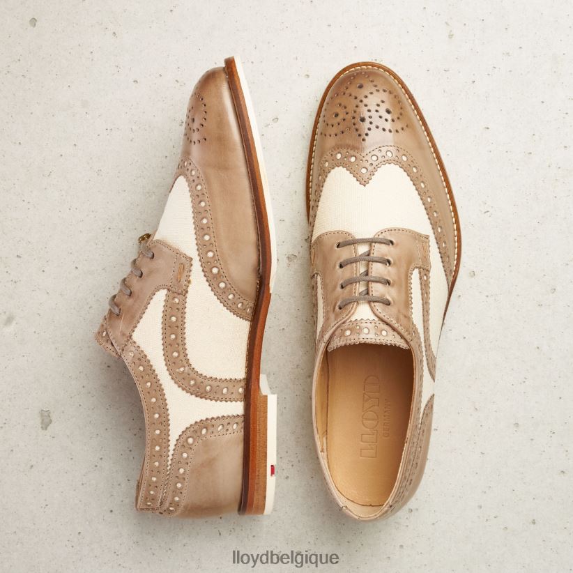 LLOYD demi-chaussures en cuir à lacets femmes beige 4Z6Z661065 chaussures