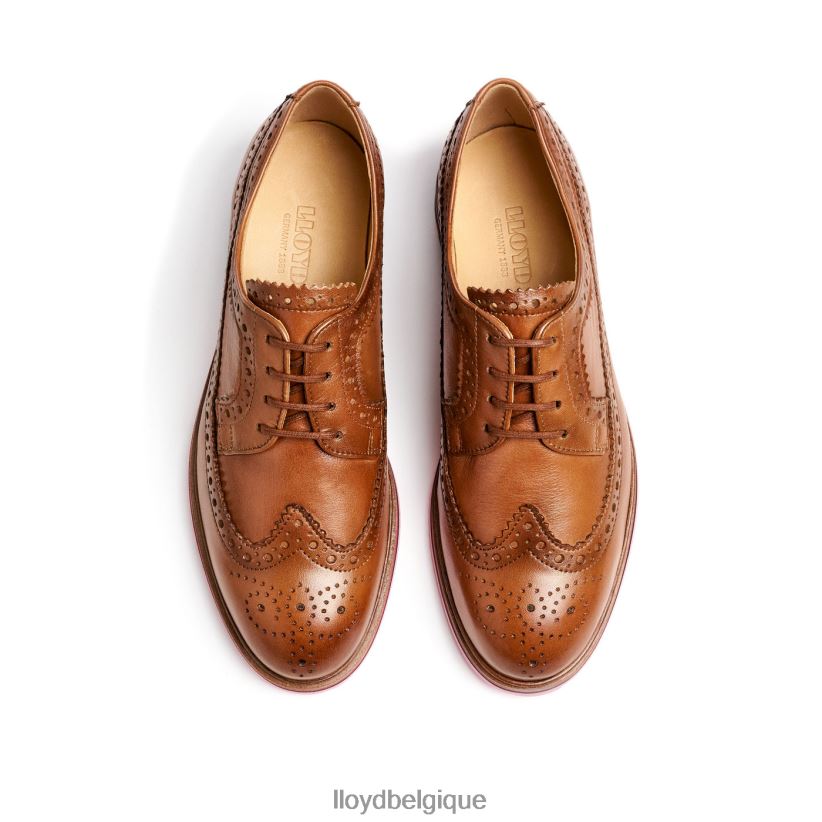 LLOYD demi-chaussures en cuir à lacets femmes brun 4Z6Z661048 chaussures