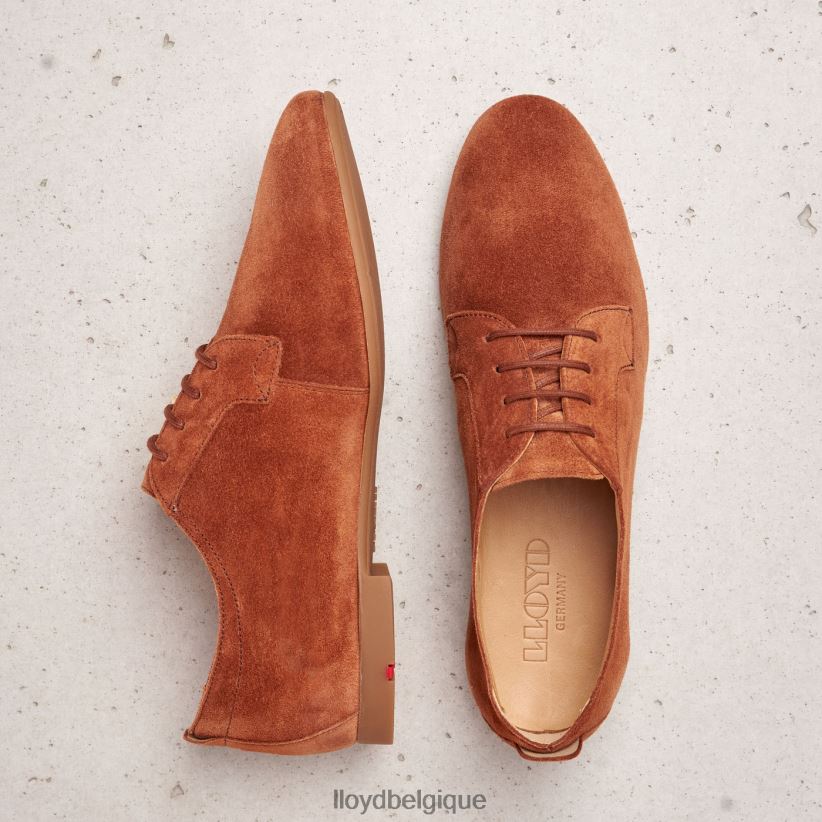 LLOYD demi-chaussures à lacets en daim femmes brun 4Z6Z661185 chaussures