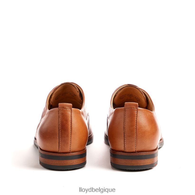 LLOYD demi-chaussures à lacets femmes brun 4Z6Z661030 chaussures