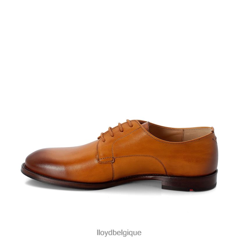 LLOYD demi-chaussures à lacets femmes brun 4Z6Z661090 chaussures