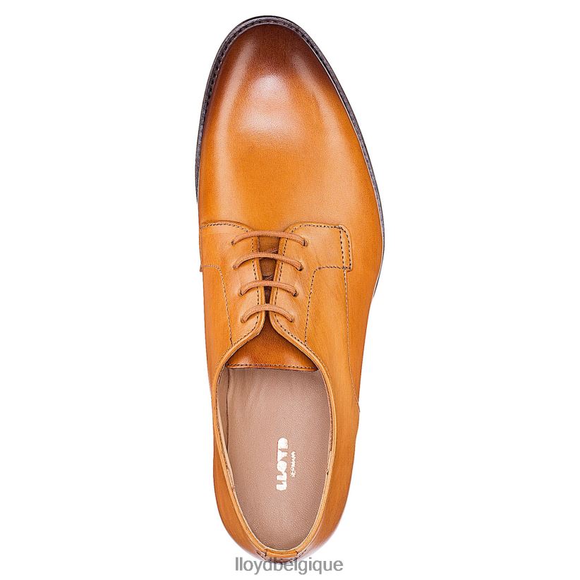 LLOYD demi-chaussures à lacets femmes brun 4Z6Z661090 chaussures