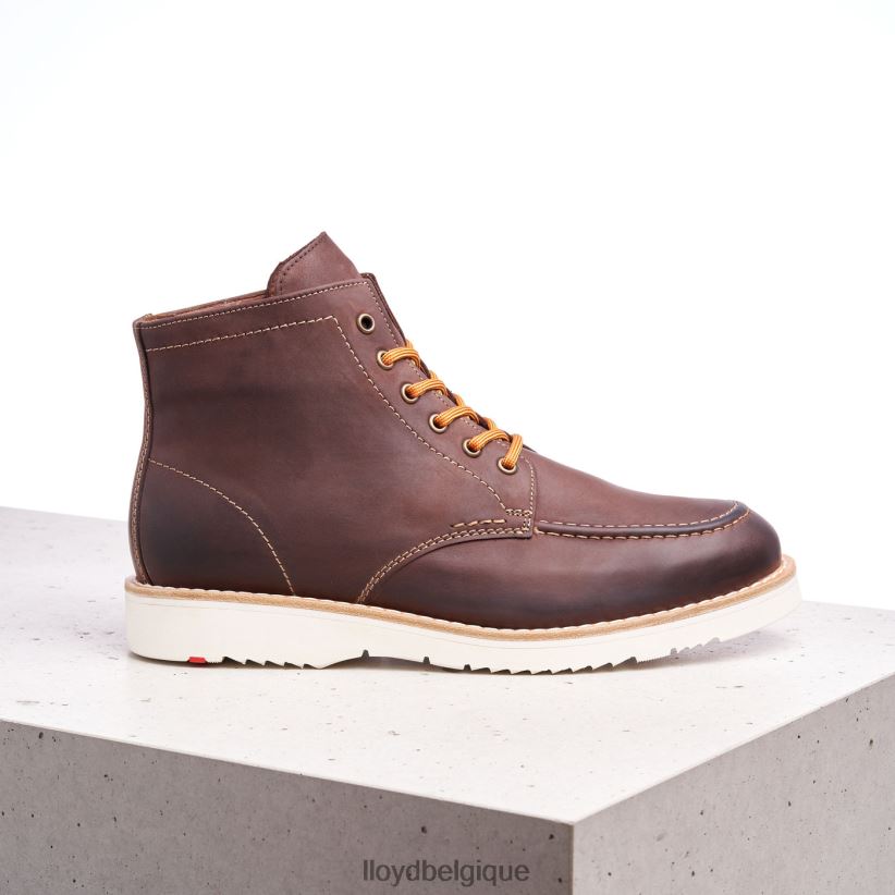 LLOYD denier Hommes brun 4Z6Z66504 chaussures