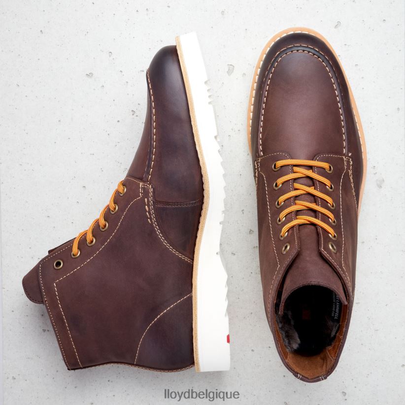 LLOYD denier Hommes brun 4Z6Z66504 chaussures