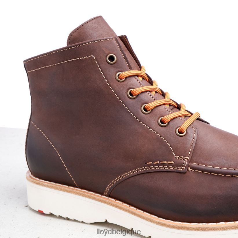 LLOYD denier Hommes brun 4Z6Z66504 chaussures