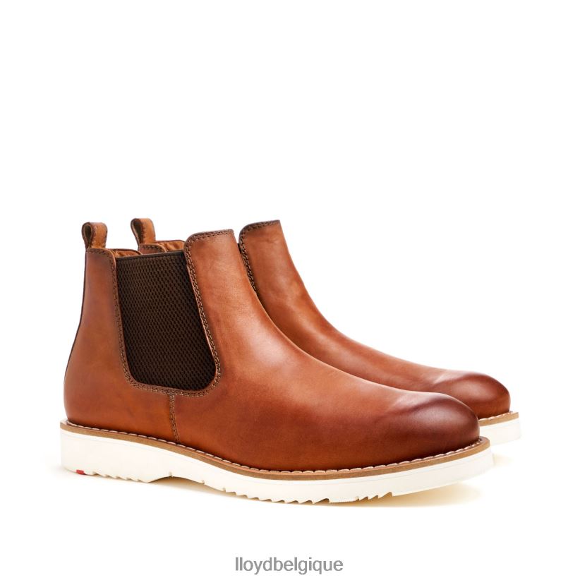 LLOYD dentaire Hommes brun 4Z6Z66477 chaussures