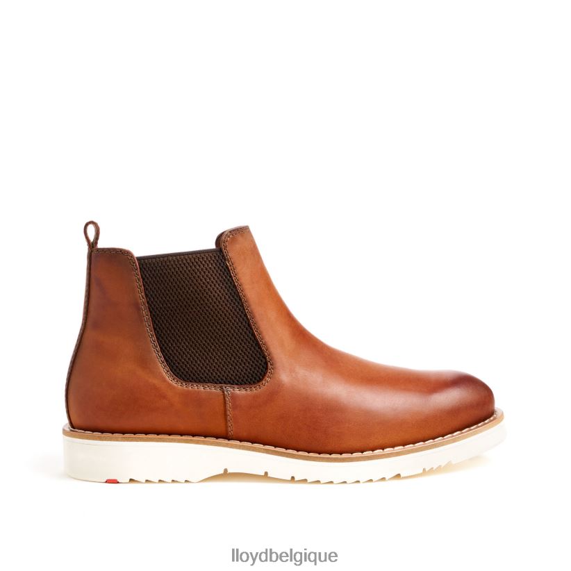 LLOYD dentaire Hommes brun 4Z6Z66477 chaussures