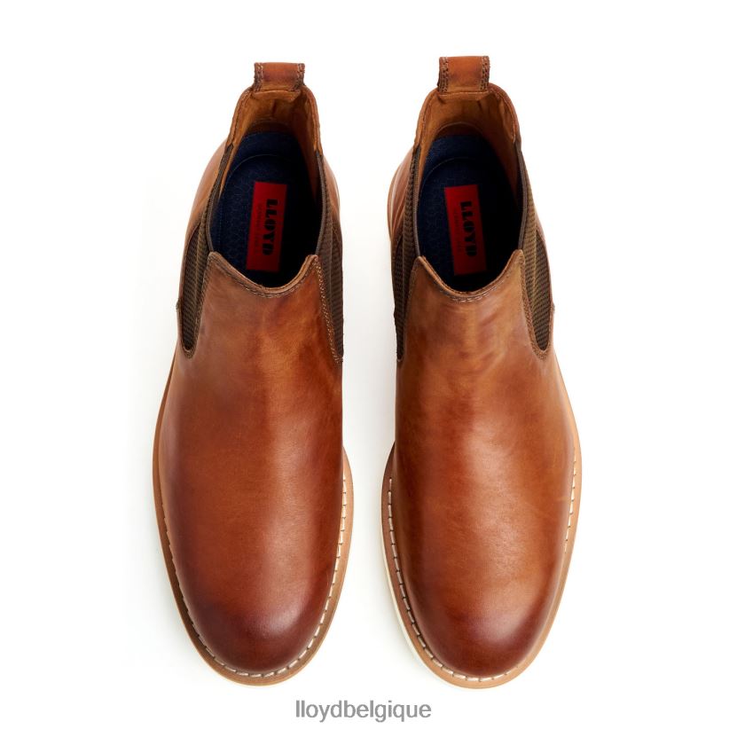 LLOYD dentaire Hommes brun 4Z6Z66477 chaussures