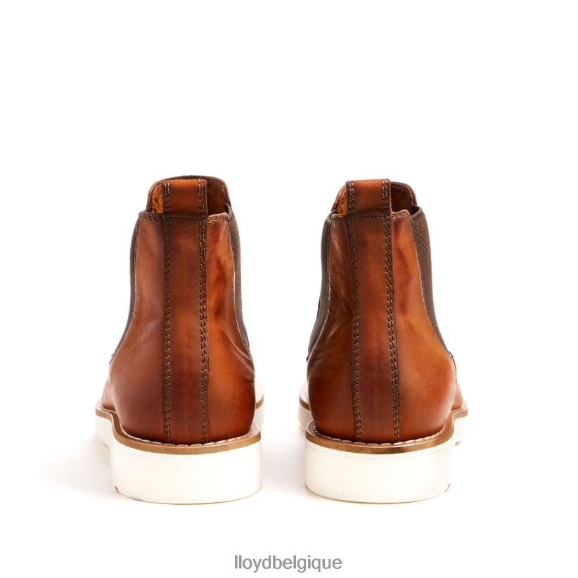 LLOYD dentaire Hommes brun 4Z6Z66477 chaussures