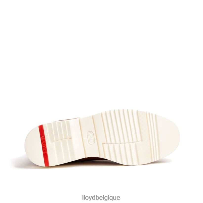 LLOYD dentaire Hommes brun 4Z6Z66477 chaussures