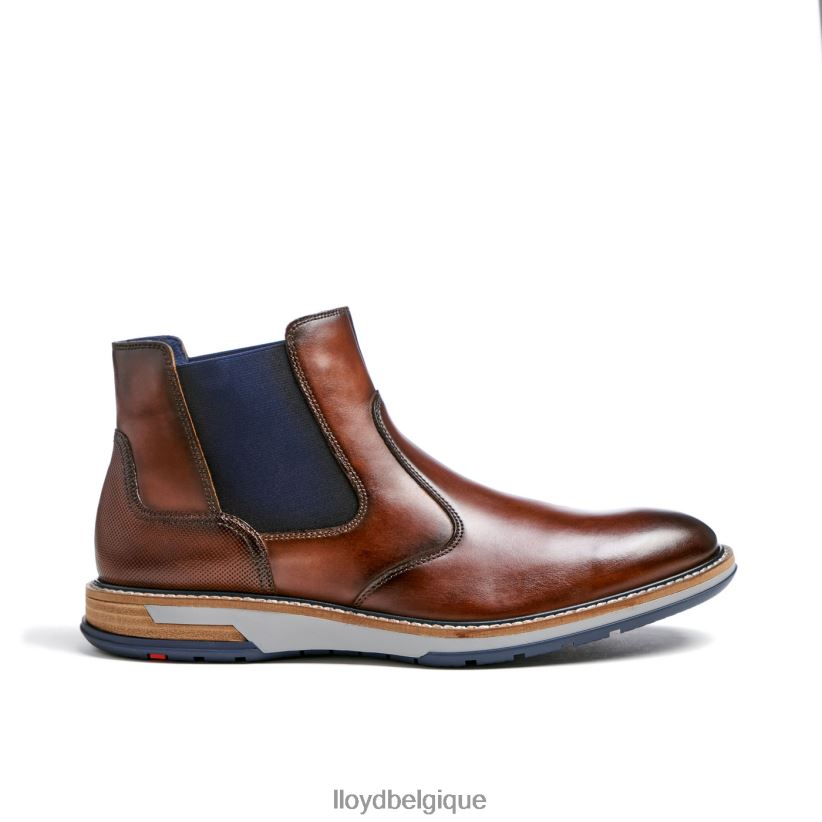 LLOYD dextre Hommes brun 4Z6Z66469 chaussures