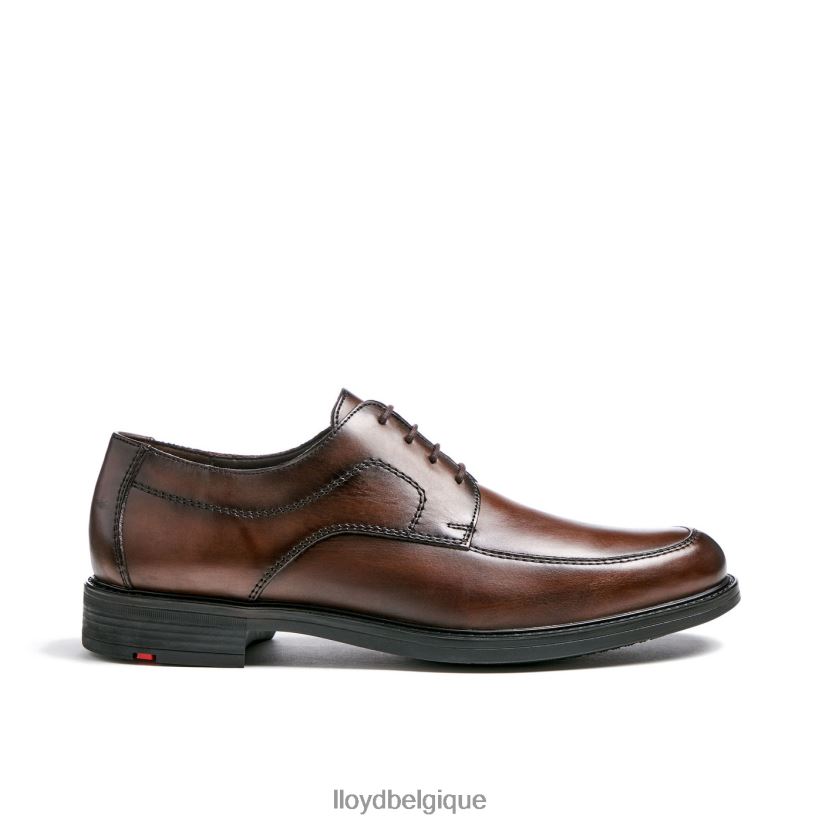 LLOYD diacre Hommes brun 4Z6Z6671 chaussures