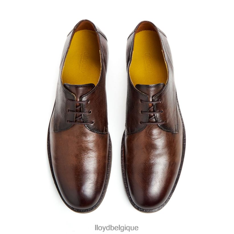 LLOYD dorien Hommes brun 4Z6Z6637 chaussures