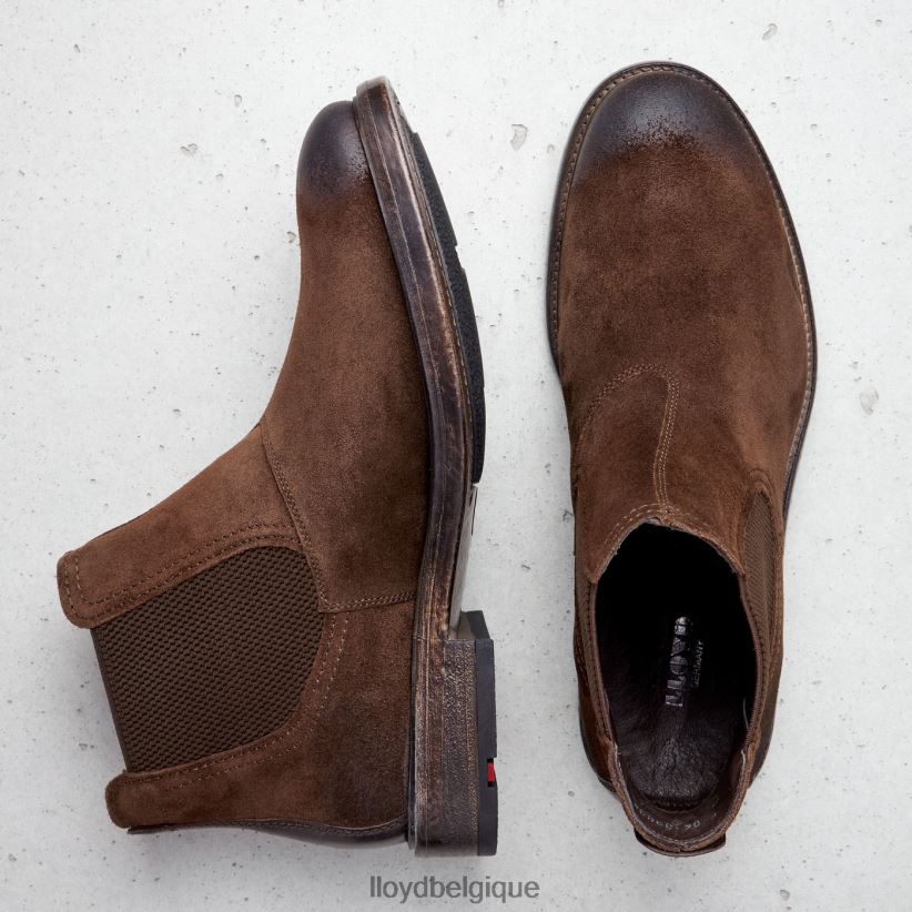 LLOYD duriel Hommes brun 4Z6Z66525 chaussures