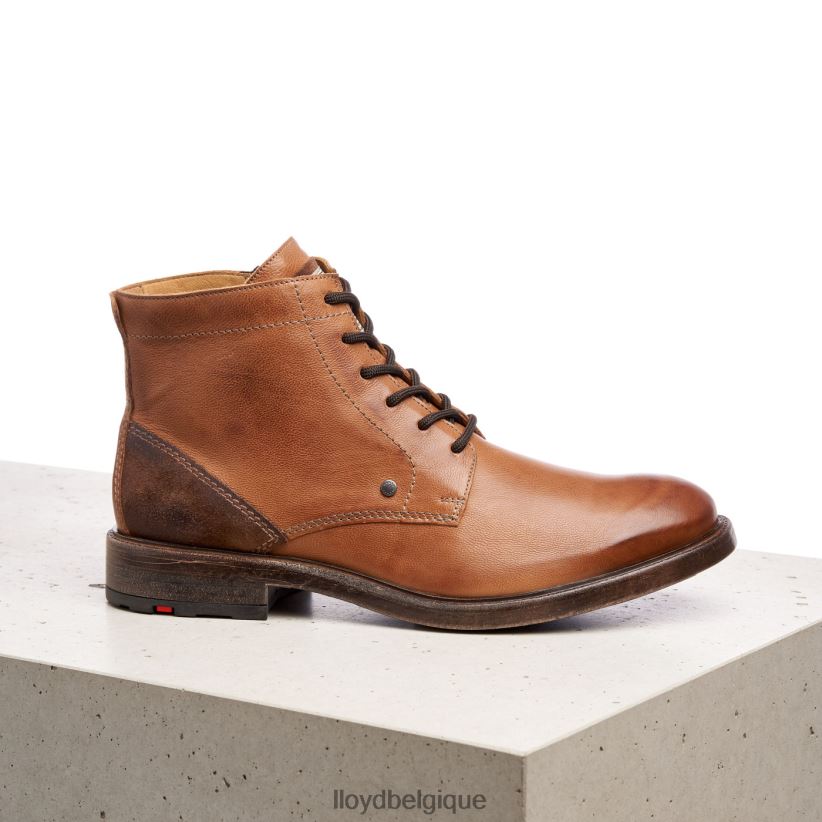 LLOYD dwayne Hommes brun 4Z6Z66535 chaussures