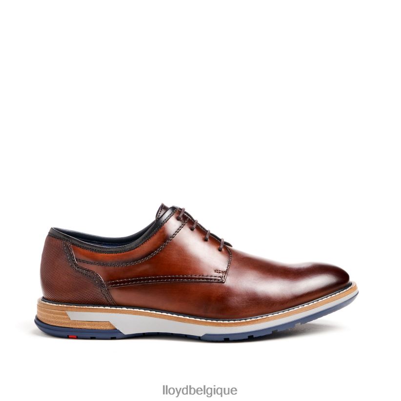 LLOYD déro Hommes brun 4Z6Z6645 chaussures