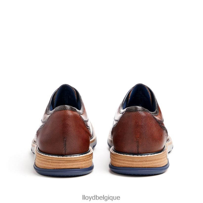 LLOYD déro Hommes brun 4Z6Z6645 chaussures