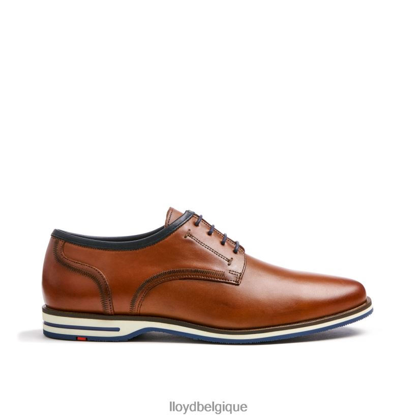 LLOYD détroit Hommes brun 4Z6Z66113 chaussures
