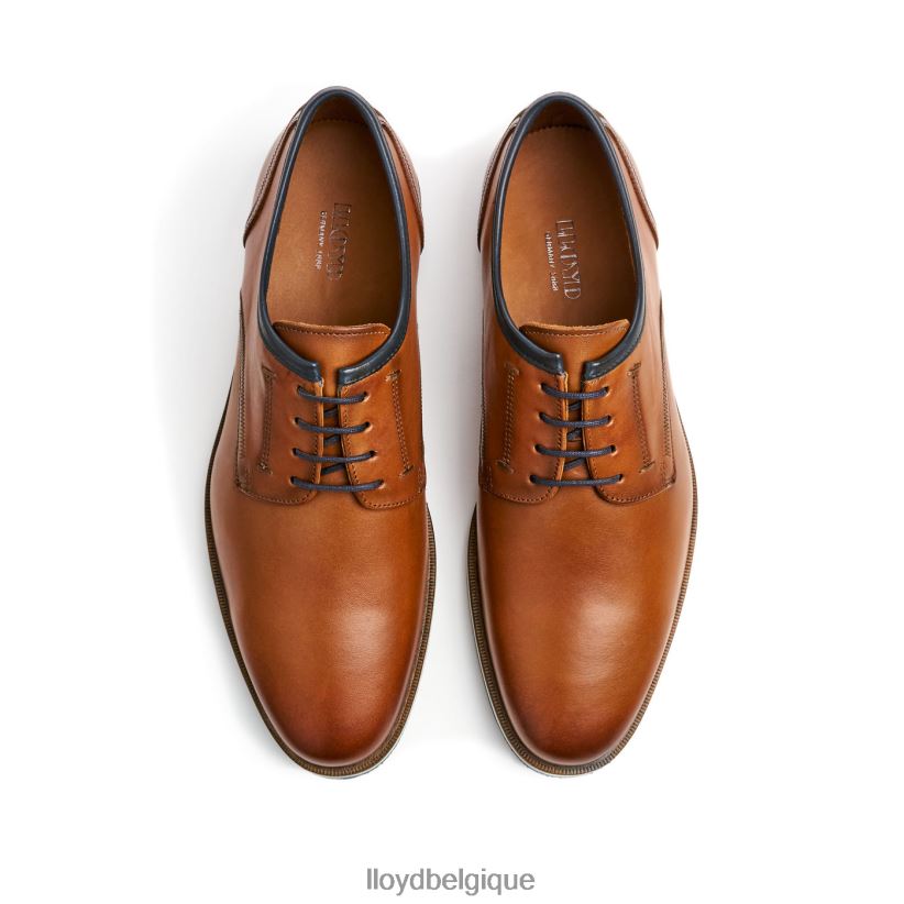 LLOYD détroit Hommes brun 4Z6Z66113 chaussures