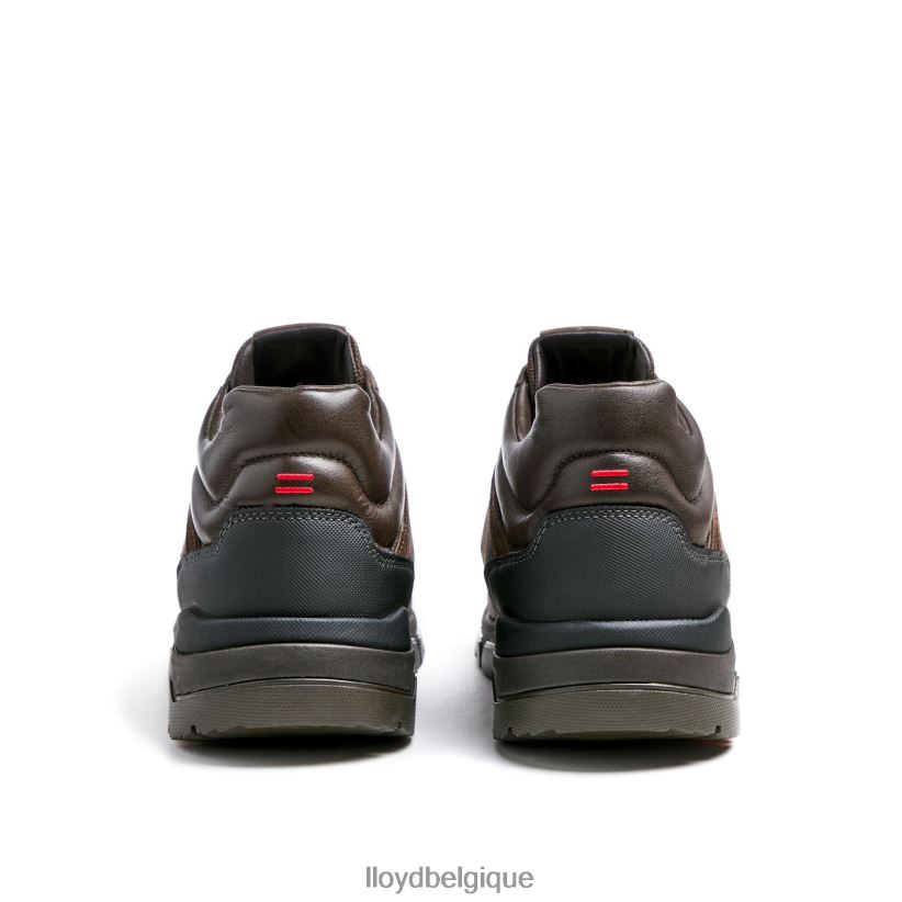 LLOYD edd Hommes brun 4Z6Z66467 chaussures