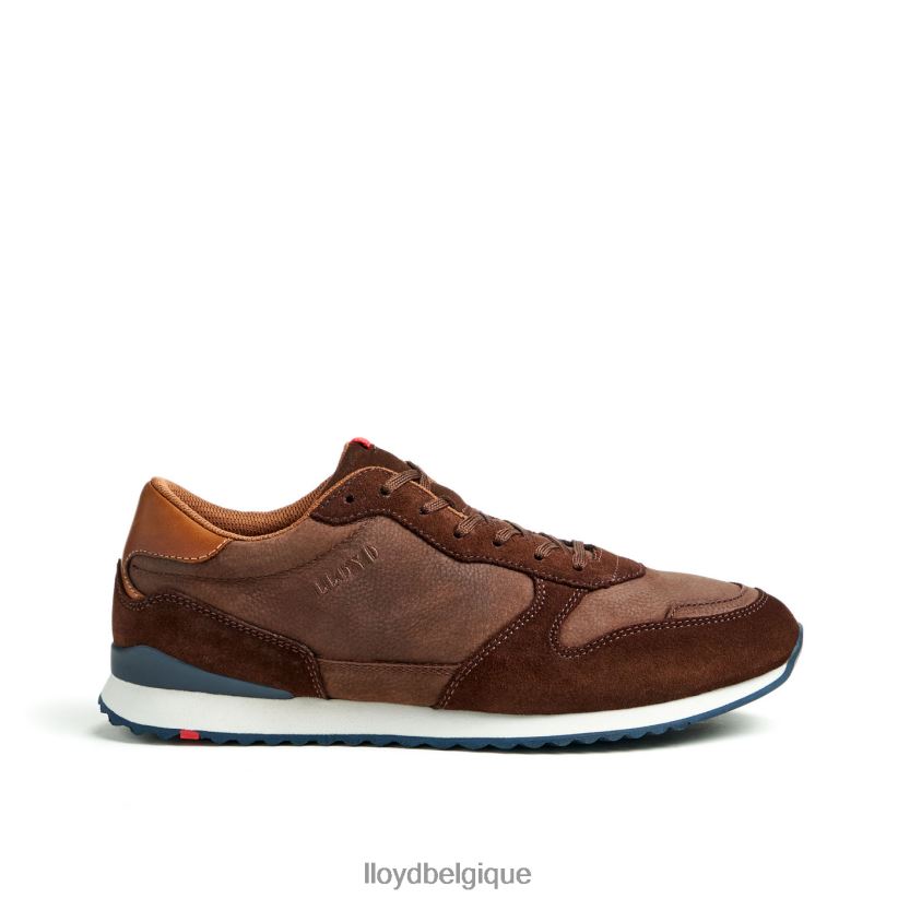 LLOYD edmond Hommes brun 4Z6Z66290 chaussures