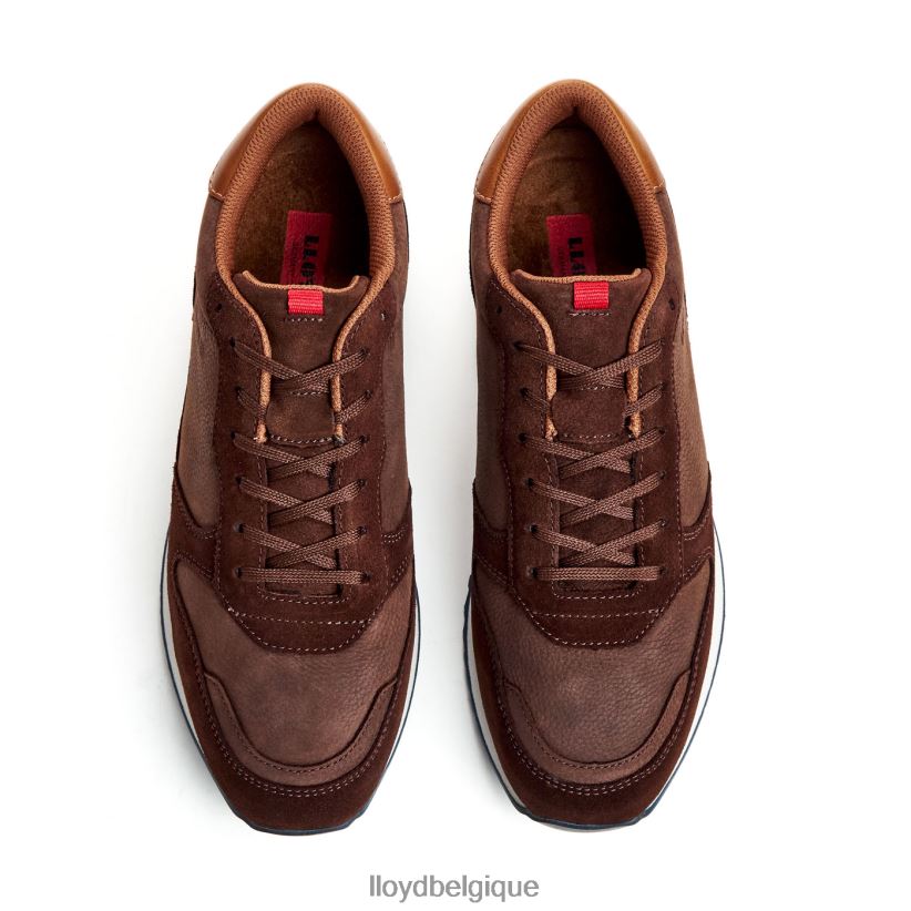 LLOYD edmond Hommes brun 4Z6Z66290 chaussures