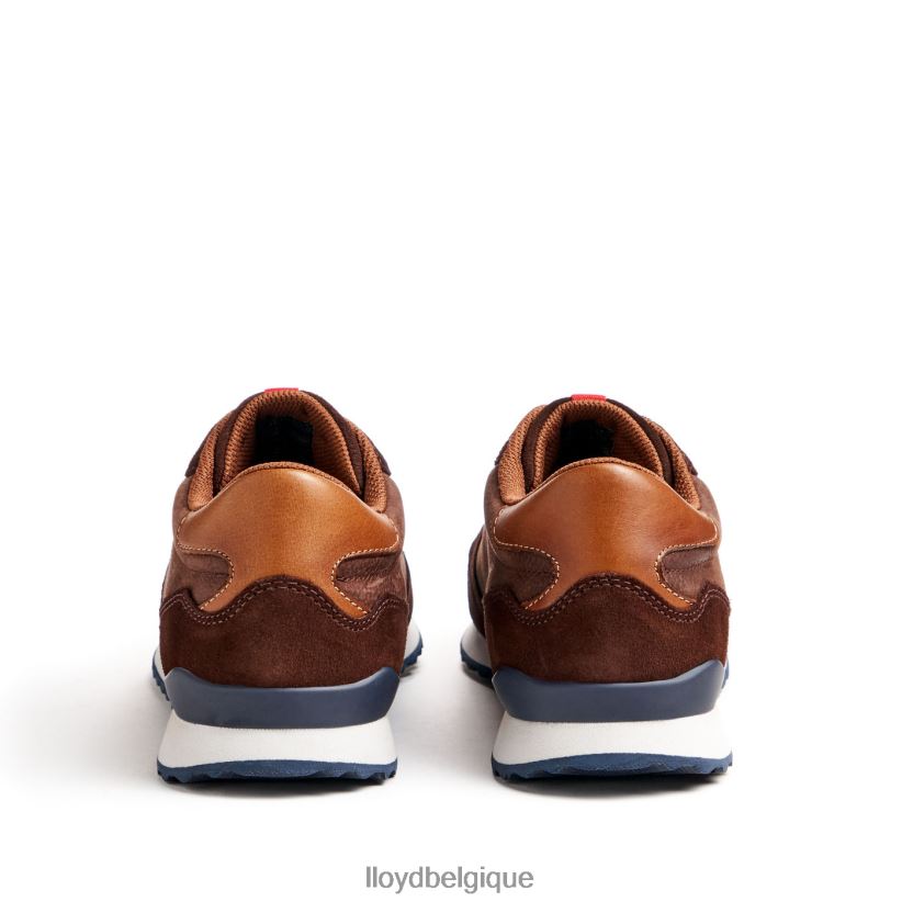 LLOYD edmond Hommes brun 4Z6Z66290 chaussures