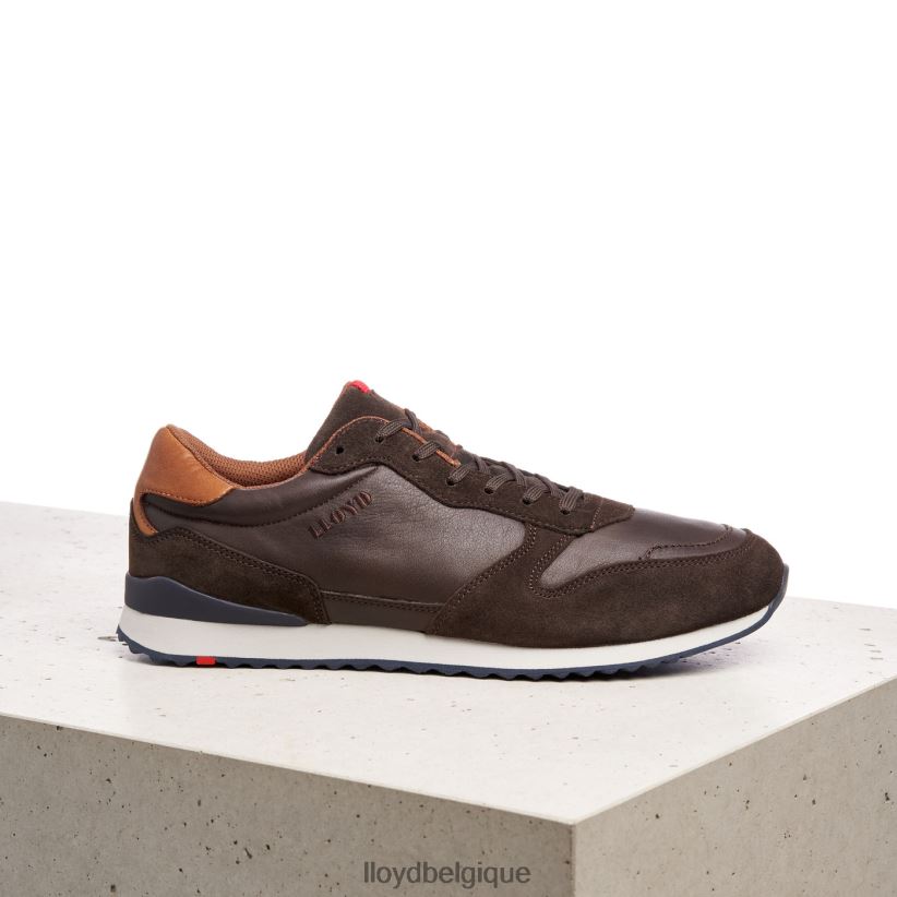 LLOYD edmond Hommes brun 4Z6Z66401 chaussures