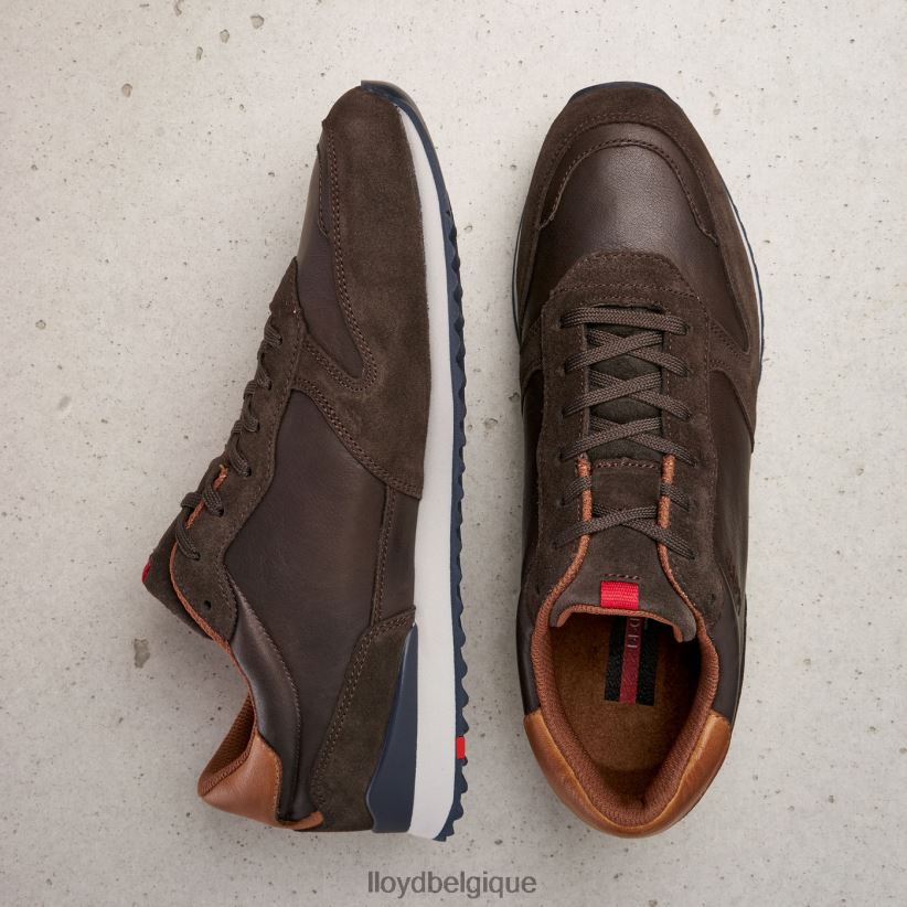 LLOYD edmond Hommes brun 4Z6Z66401 chaussures