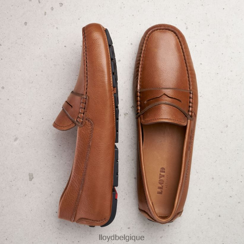 LLOYD emmo Hommes brun 4Z6Z66610 chaussures