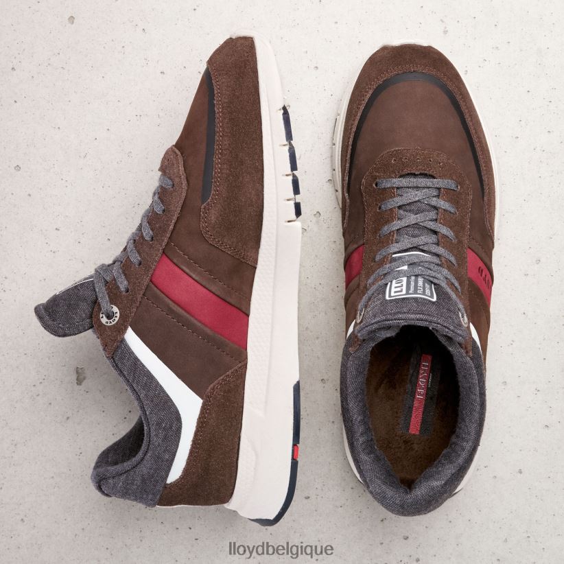 LLOYD ennio Hommes brun 4Z6Z66352 chaussures