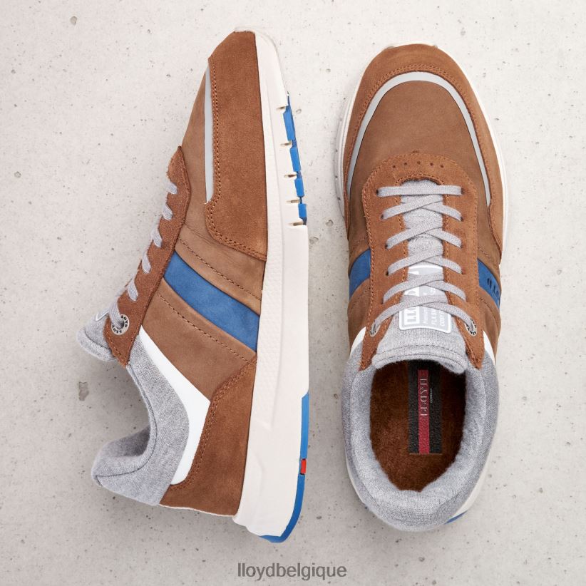 LLOYD ennio Hommes brun 4Z6Z66379 chaussures