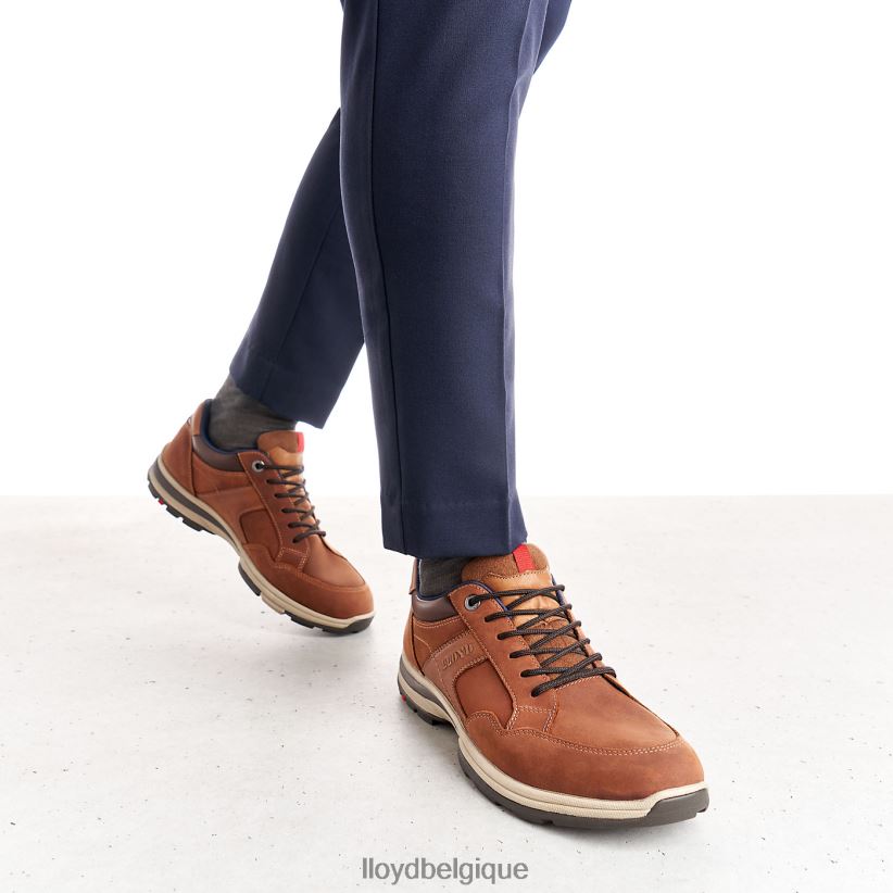 LLOYD ensor Hommes brun 4Z6Z66394 chaussures