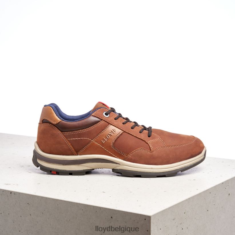 LLOYD ensor Hommes brun 4Z6Z66394 chaussures