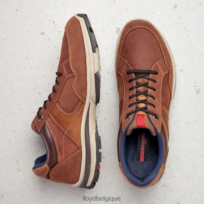 LLOYD ensor Hommes brun 4Z6Z66394 chaussures