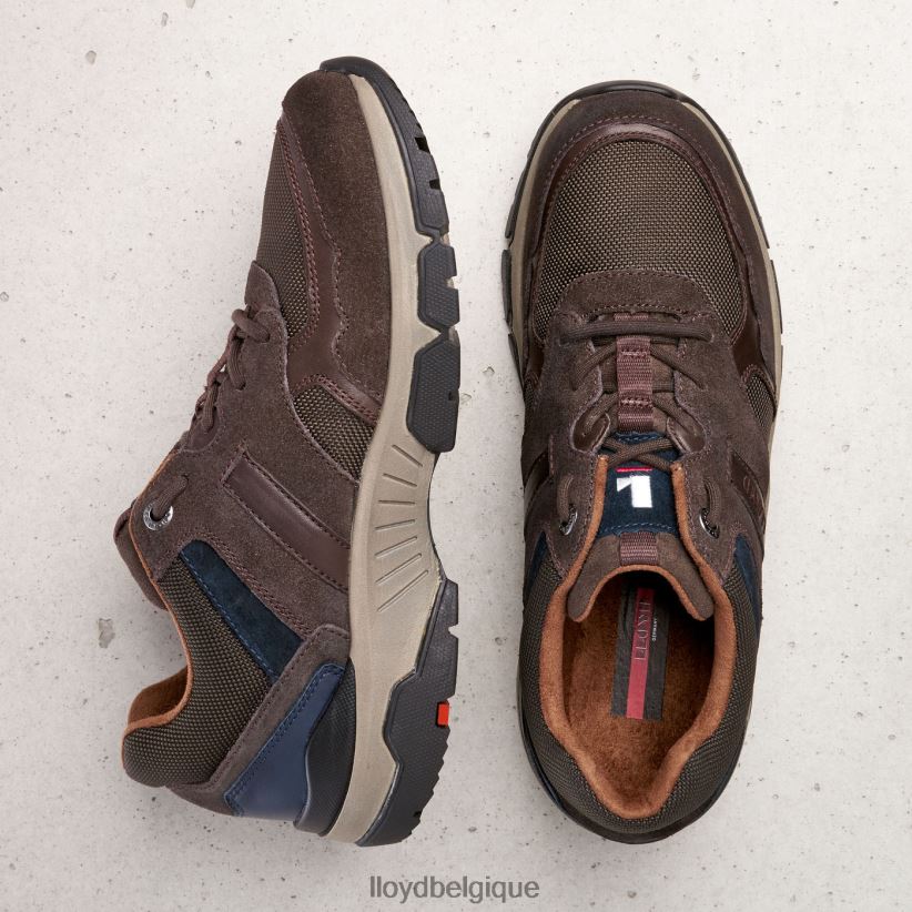 LLOYD erco Hommes brun 4Z6Z66361 chaussures