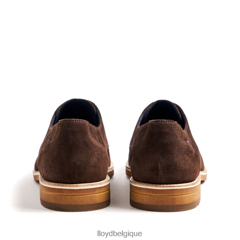 LLOYD fille Hommes brun 4Z6Z66236 chaussures