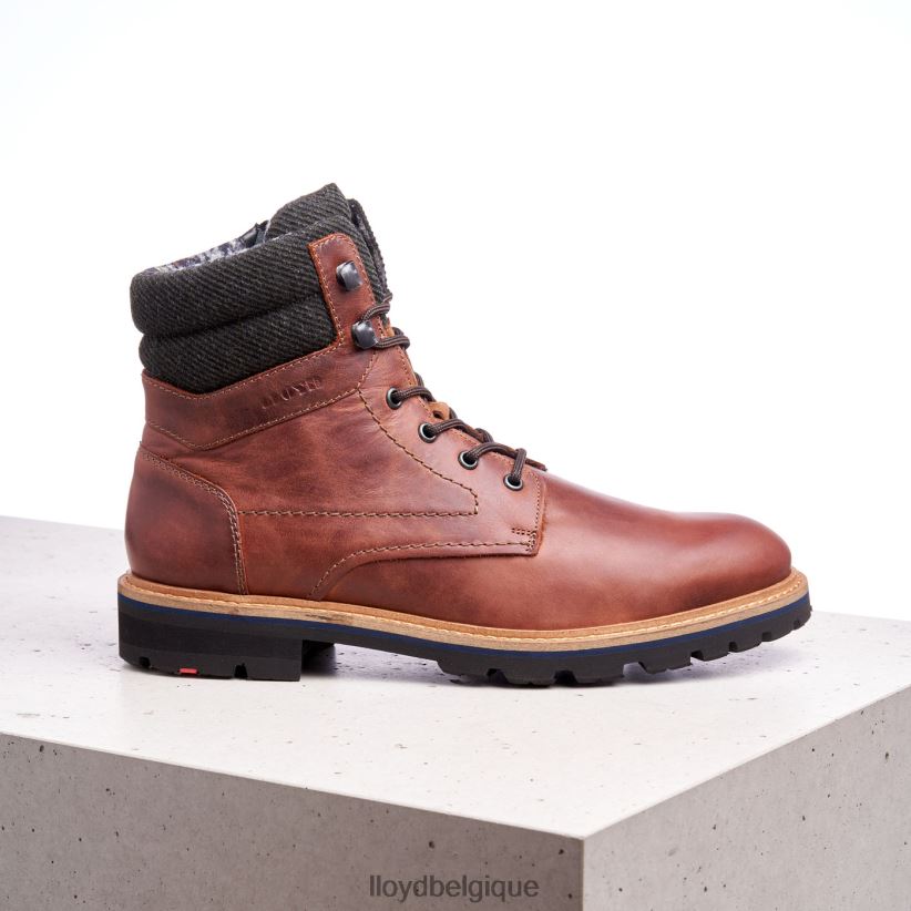 LLOYD flavio Hommes brun 4Z6Z66506 chaussures